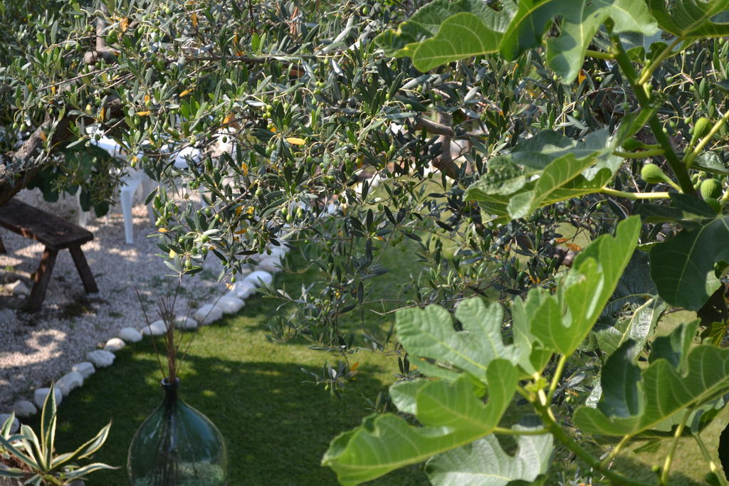 Giardinotto Casa Vacanze Altino  المظهر الخارجي الصورة